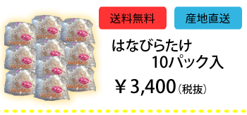 はなびらたけ商品　10パック入