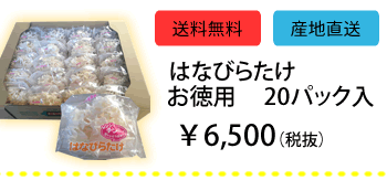 はなびらたけ商品　お徳用20パック入