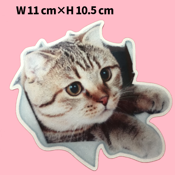 猫　ステッカー　かわいい　のぞき猫　カーステッカー　黒　白　ホログラム　防水加工　cat　Sticker