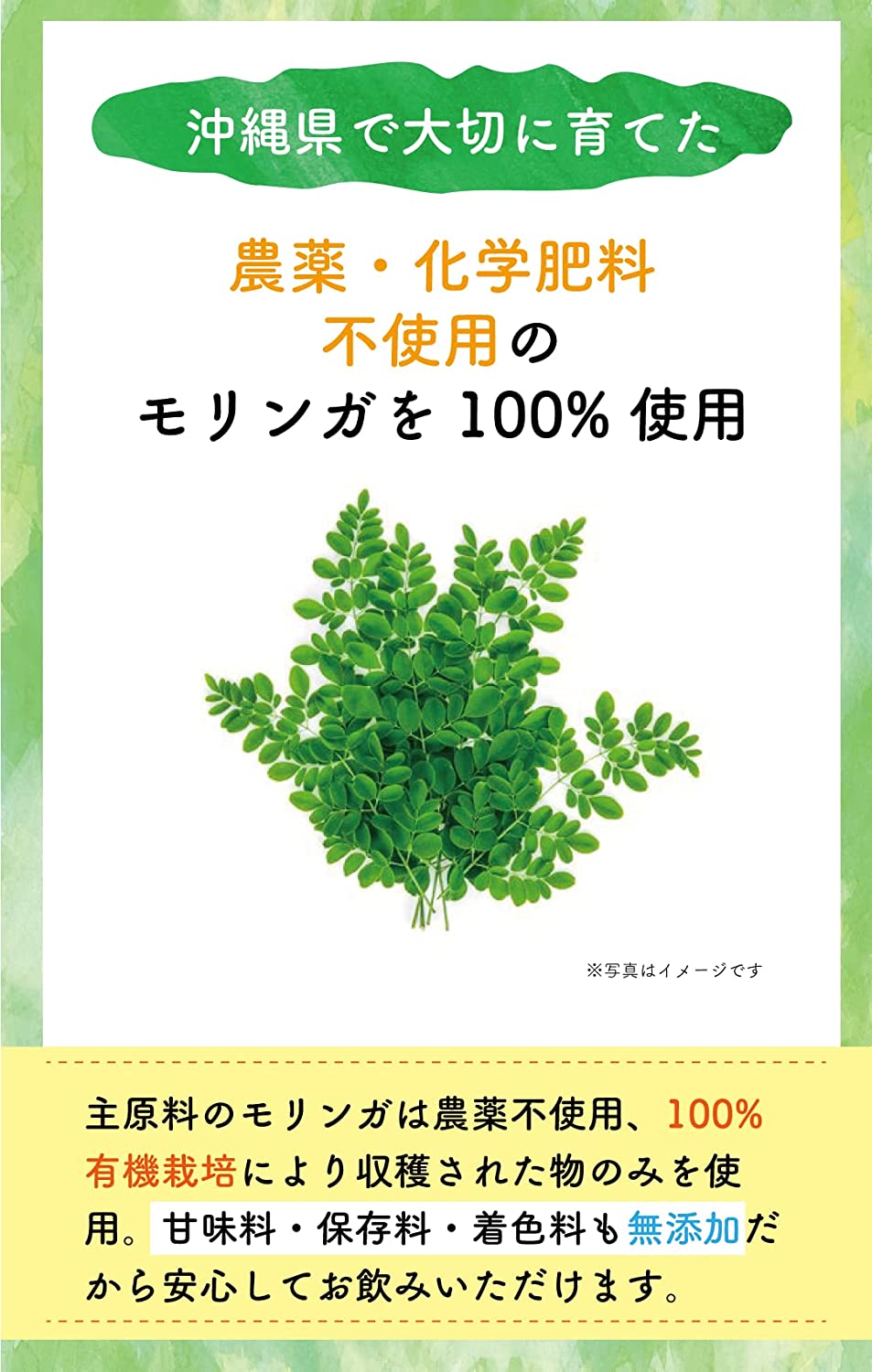 沖縄県産 発酵モリンガ フルーツ青汁 美らの恵み
