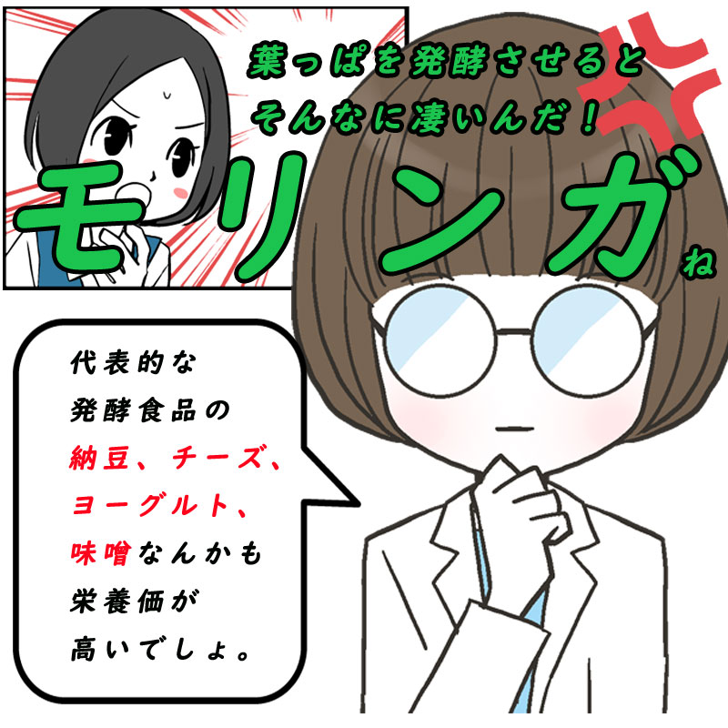 沖縄県産 発酵モリンガ フルーツ青汁 美らの恵み