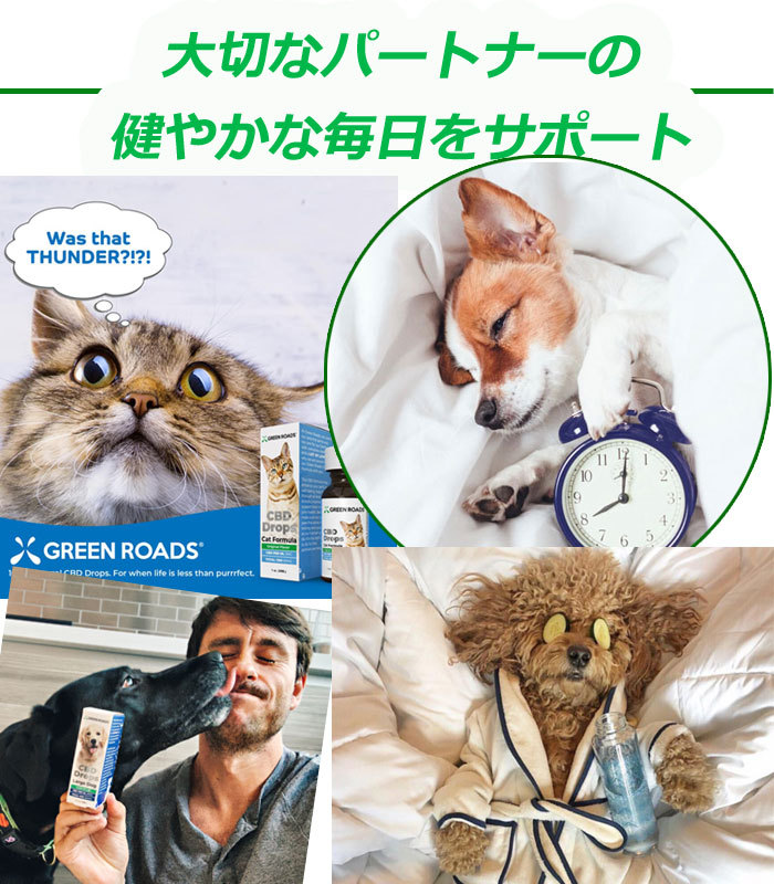 CBD オイル 小型犬 猫 ペット用 60mg 30ml green roads グリーンローズ ブロードスペクトラム ベストCBDプロダクト ヘンプ  カンナビノイド 初心者 :gr0007:セレクトショップTELEMARCHE - 通販 - Yahoo!ショッピング