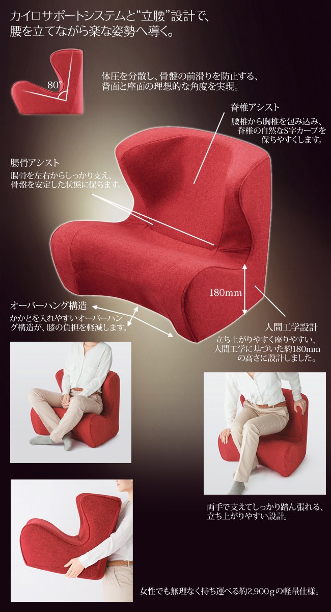 Style Dr.CHAIR スタイルドクターチェア ボディメイクシート スタイル MTG正規販売店 姿勢サポートシート 座椅子 STDC2039F  : stdc2039f : テルショップ・ジャパン Yahoo!店 - 通販 - Yahoo!ショッピング