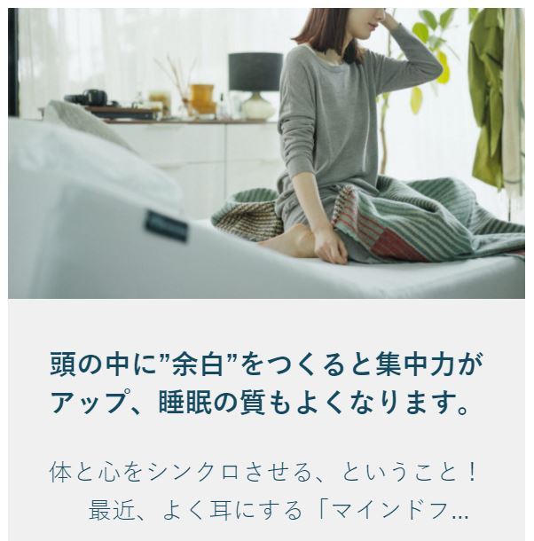 ActiveSleepBED 手元スイッチ RC-1670 アクティブスリープ 手元スイッチ 旧アクティブスリープ専用 RC-1670 アクティブ