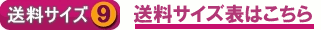 送料サイズ(9)