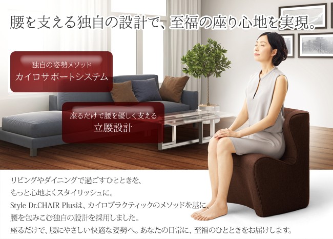 Style スタイル ドクターチェアプラス BS-DP2244F 姿勢サポート