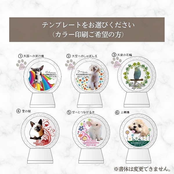 ペット用写真付き位牌