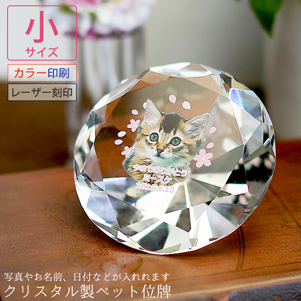ybgʔv ʐ^ NX^ _Ch` TCY  ʐ^ [U[ 2D  bZ[W ybg { d `  L KP-22C