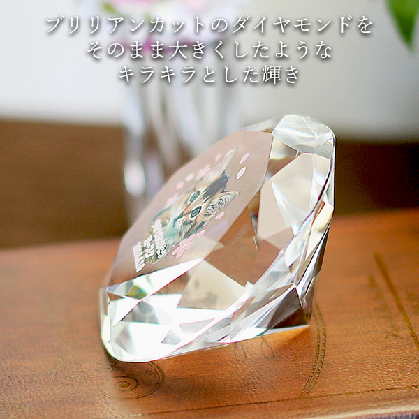 ペット位牌 写真入り 大サイズ クリスタル ダ...の詳細画像1