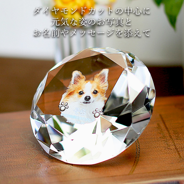 ペット位牌 写真入り 大サイズ クリスタル ダ...の詳細画像2