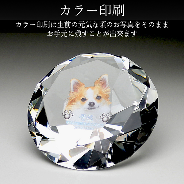 ペット位牌 写真入り 大サイズ クリスタル ダ...の詳細画像3