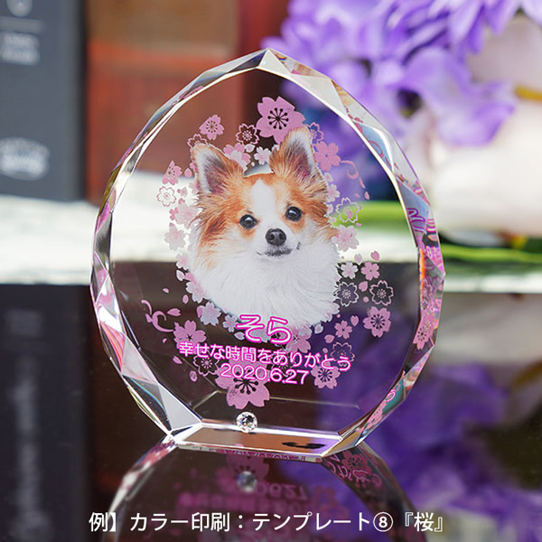 ペット位牌 クリスタル 写真入り しずく型 大サイズ 誕生月ライン
