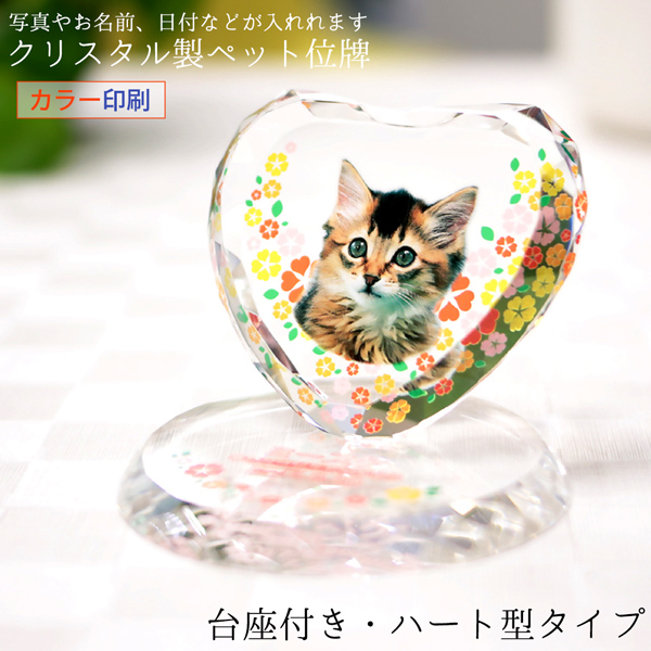 ybgʔv ʐ^ NX^ n[g` t CXg[  J[ bZ[W ybgA 茳{   L KP-15