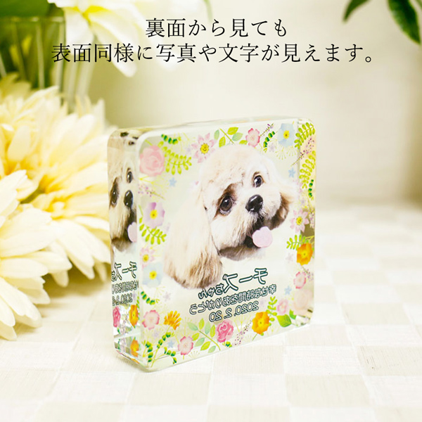 ペット位牌 クリスタル 四角形 小サイズ 誕生...の詳細画像2