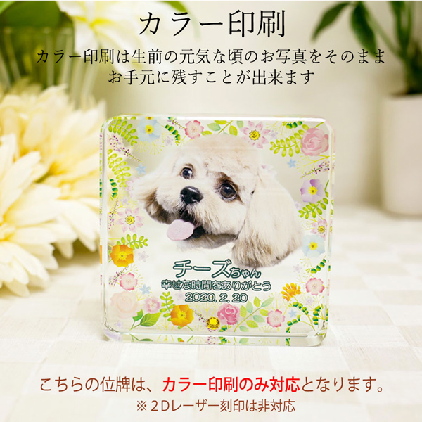 ペット位牌 クリスタル 四角形 小サイズ 誕生...の詳細画像3