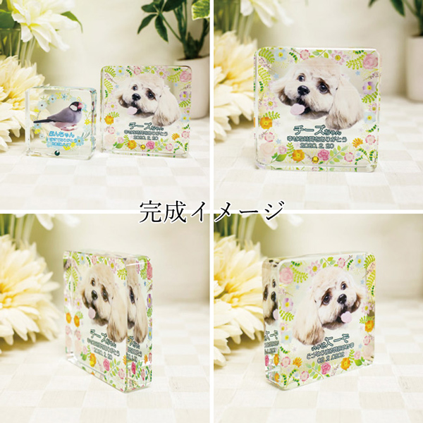 ペット位牌 クリスタル 四角形 小サイズ 誕生...の詳細画像4