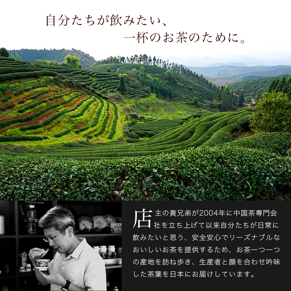 父の日 プレゼント ギフト 2024 お茶 中国茶 ティーバッグ 全12種 詰め合わせセット 2.5g×12P お茶 ティーパック 送料無料｜tenchu｜07