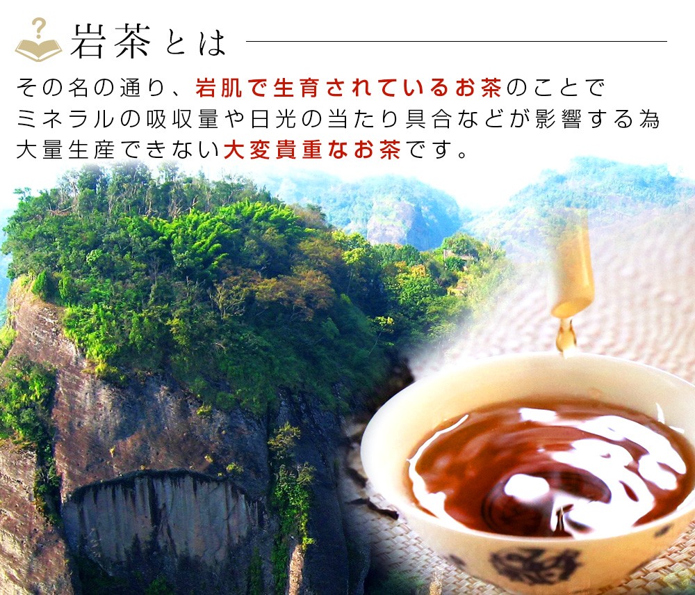 ギフト 烏龍茶 高級 武威岩茶 6種類飲み比べセット お試し 大紅