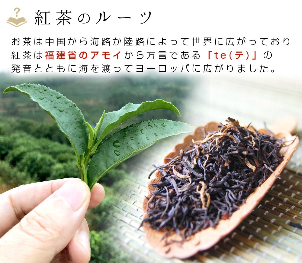 未開封】中国高級紅茶 茶