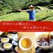 【10/30 P5倍!】リムテー 中国茶 台湾茶 東方美人烏龍茶【特級】バリューサイズ プレミアム200g(5g×40P) 茶葉 ウーロン茶 お茶 関連画像2
