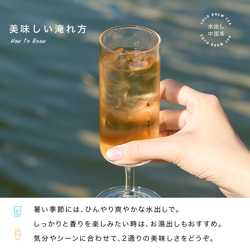 水出しティーバッグ 鳳凰単叢 烏龍茶 ウーロン茶 5g×1Pティーバッグ