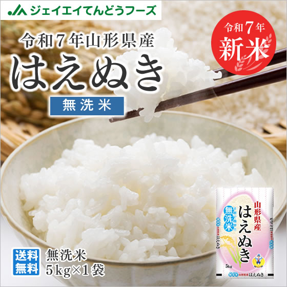 はえぬき お米 20kg 無洗米 (5kg×4袋) 山形県産 令和6年産