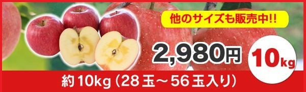 りんご 訳あり 品種おまかせ 約5kg リンゴ ご自宅用 山形県産 林檎 山形 (一部地域別途送料) ap12 ※9月下旬頃から順次発送  :w-ringo5kg:JAてんどうフーズ うまいもの通販 - 通販 - Yahoo!ショッピング