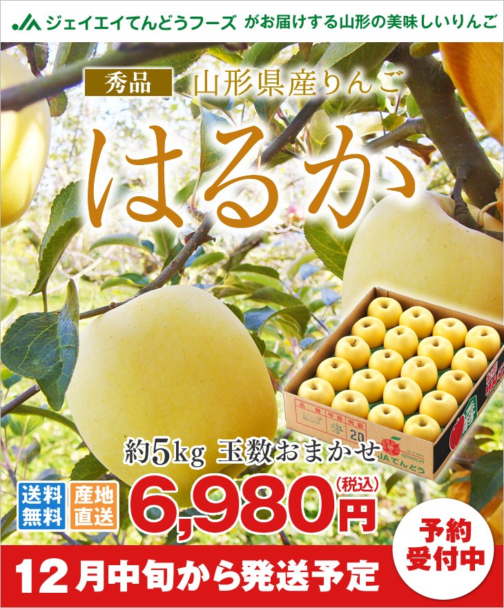 秀 山形県産りんご はるか約5kg