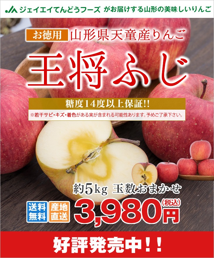 訳あり りんご 山形県天童産 王将ふじ 約5kg リンゴ 林檎 (一部地域
