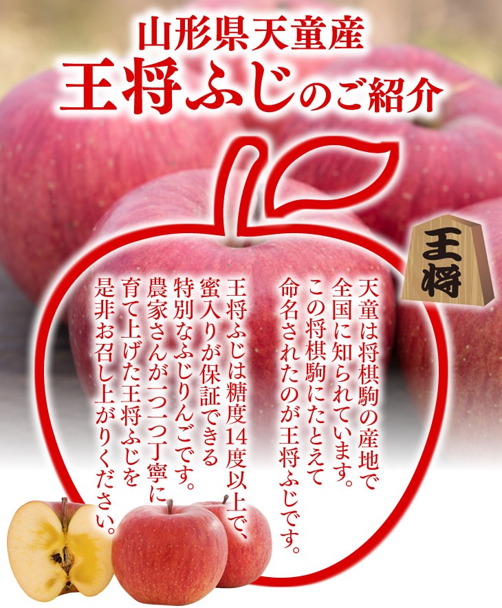 訳あり りんご 山形県天童産 王将ふじ 約5kg リンゴ 林檎 (一部地域