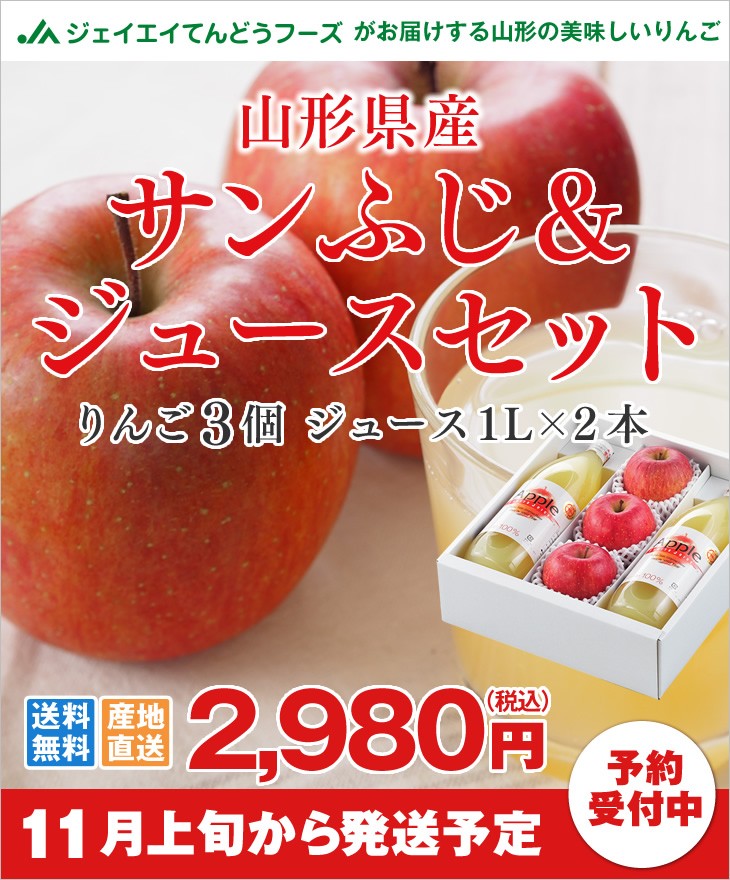 山形県産 りんごジュース 1L×6本セット 果汁100% リンゴ 林檎