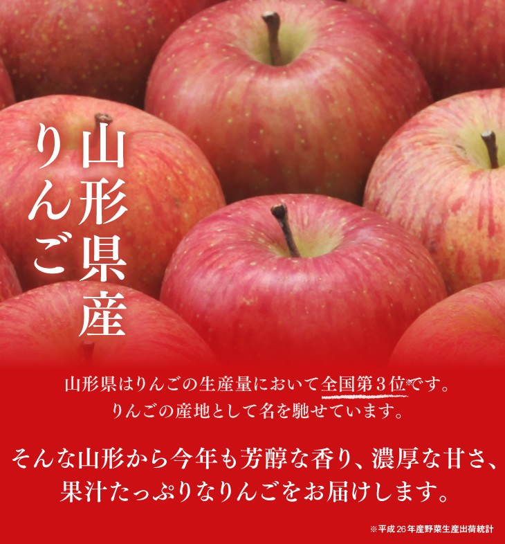 お買得 りんご ○秀品 山形県産 サンふじ 約10kg リンゴ 林檎 (一部