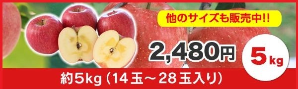 りんご5kg