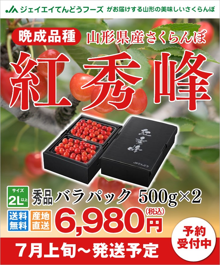 ギフト 特秀品 山形県天童産さくらんぼ紅秀峰500g×2  2Lサイズ以上  送料無料※一部地域別途送料