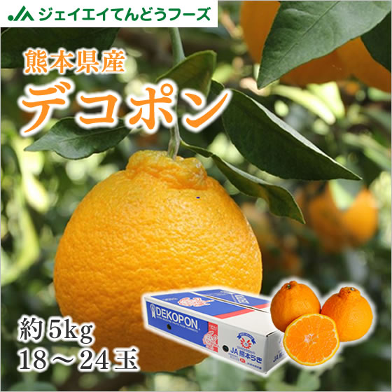 熊本県産 デコポン 約5kg 18〜24玉 無印 でこぽん 柑橘 果物 フルーツ