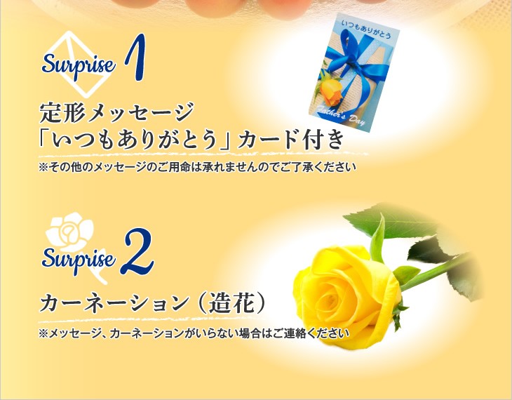 Surprise 1定形メッセージ「いつもありがとう」カード付き | Surprise 2カーネーション（造花）