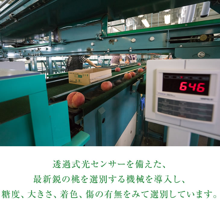 徹底した品質管理