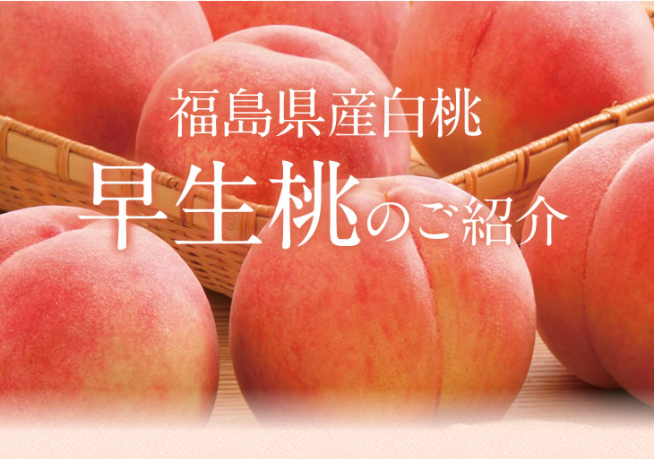 山形で育った桃