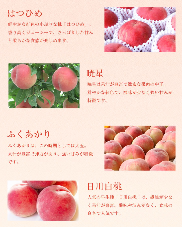 山形で育った桃