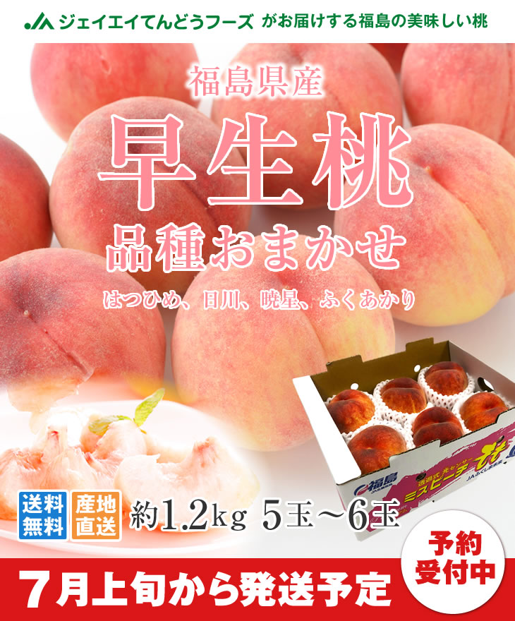 品種おまかせ黄桃 | 山形県で作られた美味しい白桃を旬な品種を厳選してお届けいたします！ | 約2kg玉数おまかせ