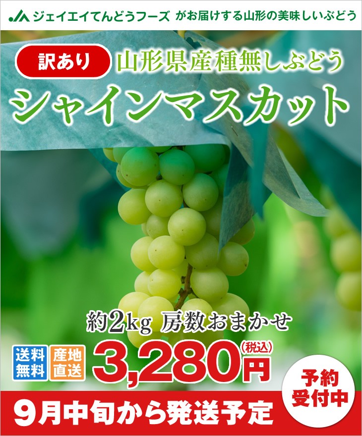 ぶどう 訳あり 皮ごと 『シャインマスカット』 約2kg 山形県産