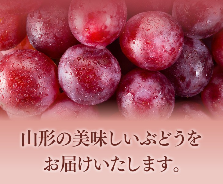 山形の美味しいぶどうをお届けいたします。