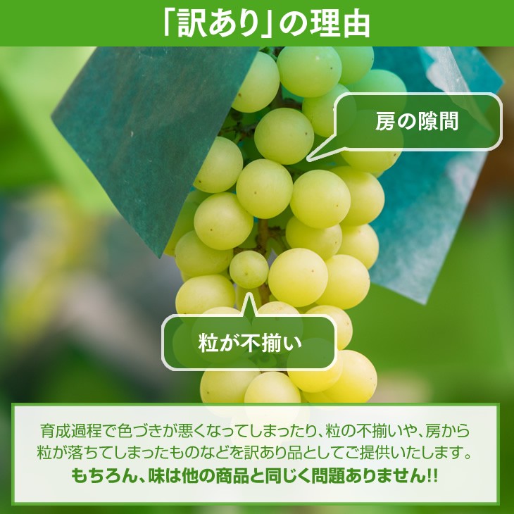 訳ありの理由