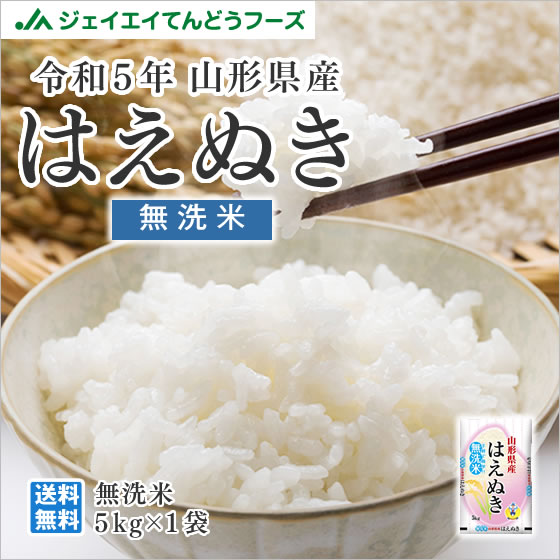お米 5kg 無洗米 お米 はえぬき 山形県産 令和5年産 rhm0505