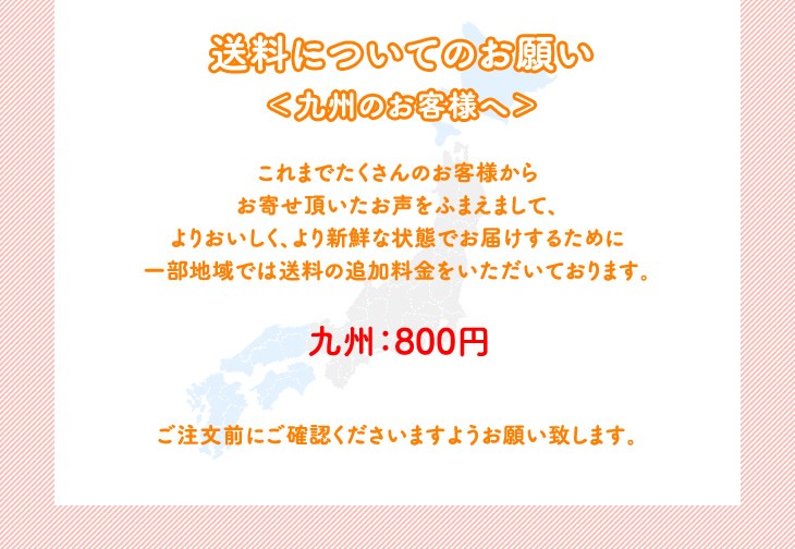 九州 送料追加料金のご注意