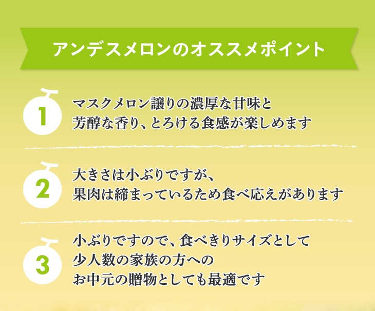 アンデスメロンのオススメポイント | 1.マスクメロン譲りの濃厚な甘味と芳醇な香り、とろける食感が楽しめます 2.大きさは小ぶりですが、果肉は締まっているため食べ応えがあります 3.小ぶりですので、食べきりサイズとして少人数の家族の方へのお中元の贈物としても最適です