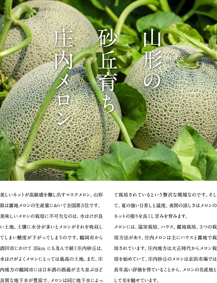 山形の砂丘育ち庄内メロン | 美しいネットが高級感を醸し出すマスクメロン。山形県は露地メロンの生産量において全国第３位です。美味しいメロンの栽培に不可欠なのは、水はけが良い土地。土壌に水分が多いとメロンがそれを吸収してしまい糖度が下がってしまうのです。鶴岡市から酒田市にかけて35kmにも及んで続く庄内砂丘は、水はけがよくメロンにとっては最高の土地。また、庄内地方の鶴岡市には日本酒の酒蔵が立ち並ぶほど良質な地下水が豊富で、メロンは同じ地下水によって栽培されているという贅沢な環境なのです。そして、夏の強い日差しと温度、夜間の涼しさはメロンのネットの張りを良くし甘みを育みます。メロンには、温室栽培、ハウス、露地栽培、３つの栽培方法があり、庄内メロンは主にハウスと露地で栽培されています。庄内地方は大正時代からメロン栽培を始めていて、庄内砂丘のメロンは京浜市場では長年高い評価を得ていることから、メロンの名産地として名を馳せています。