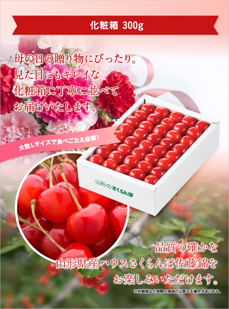 リピーター様さくらんぼ様御購入品 skr500o-01.jpg