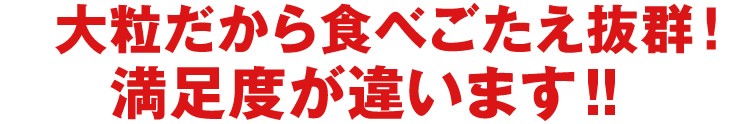 大粒だから食べごたえ抜群！満足度が違います！