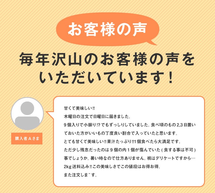 お客様の声 | 毎年沢山のお客様の声をいただいています！
